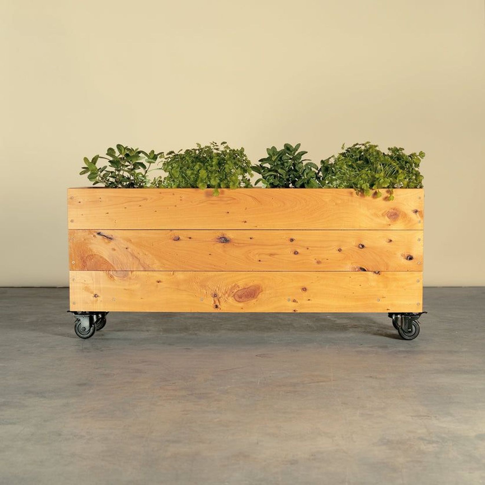 Herb Junior Planter Box On Wheels gallery detail image