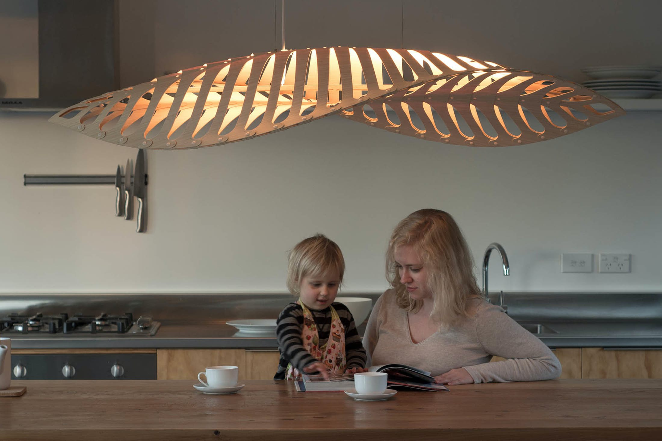 navicula pendant light