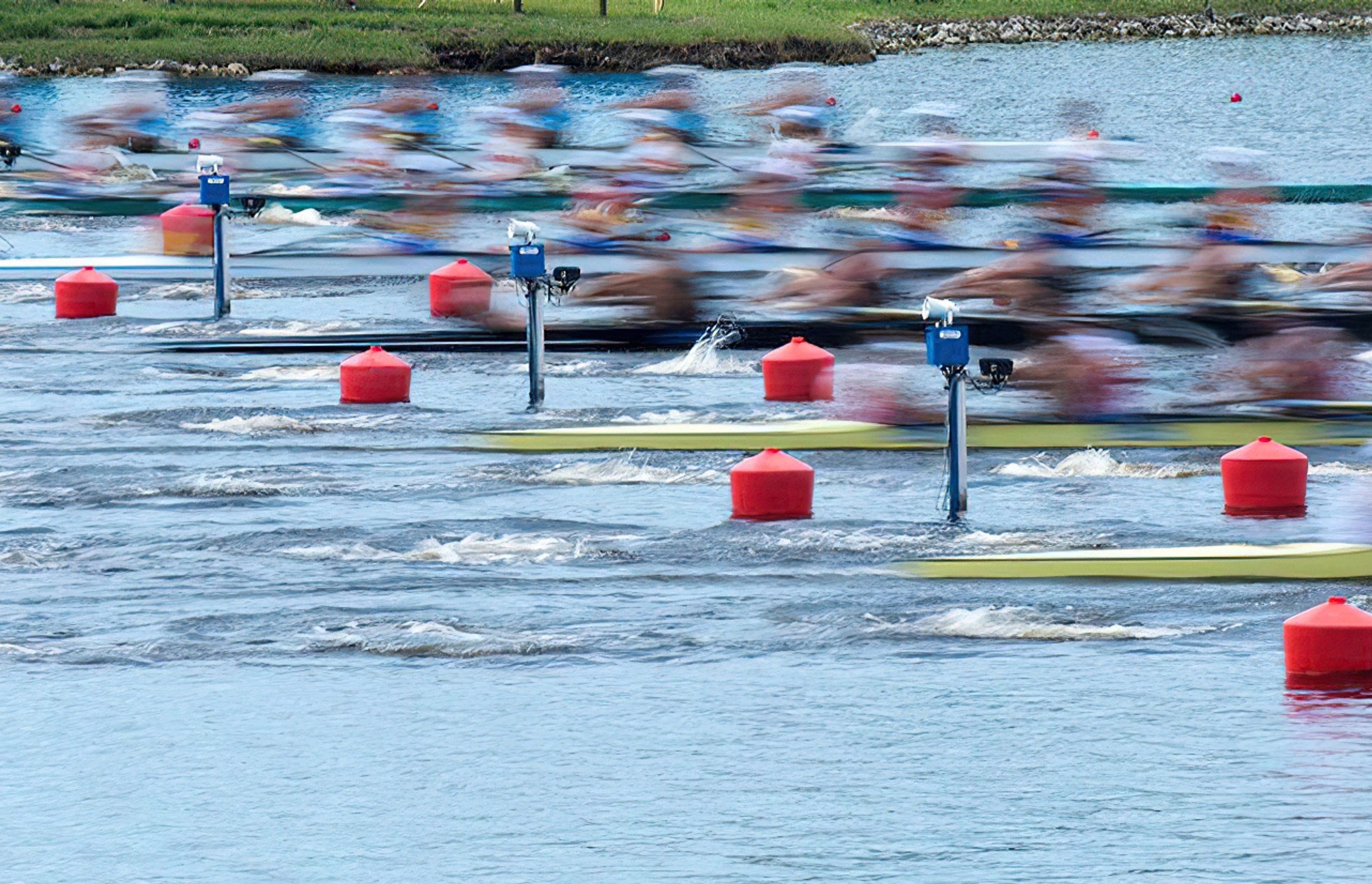 Olympic Rowing A beginner's guide ArchiPro AU