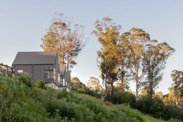 Exterior view of a compact dark-clad house set on a sloping, densely planted site, with a steep pitched metal roof, projecting glazed corner, and surrounding mature eucalyptus trees. The image has warm late-day light and a natural rural or bush setting.