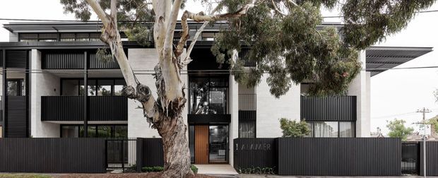 Street-facing view of a contemporary multi-unit residential building with a dark vertical-bar metal frontage, pale rendered or masonry walls, projecting flat roof canopies, balconies, and a recessed timber-toned entry. Mature eucalyptus trees partially screen the facade.