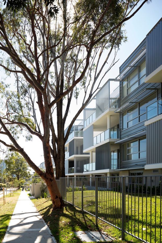 Exterior view of a contemporary multi-storey apartment building beside a paved pedestrian footpath. The facade combines dark grey vertically ribbed cladding, extensive glazing, projecting balconies with clear glass balustrades, and white structural bands. Mature eucalyptus trees and landscaped grass line the streetscape, with a metal security fence in the foreground.