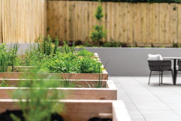 A contemporary landscaped courtyard or terrace with raised timber planter boxes filled with lush green planting. Pale large-format paved tiles lead to a small outdoor dining setting with dark woven chairs and a table. Timber fencing and a smooth grey rendered wall create a private, structured garden enclosure.