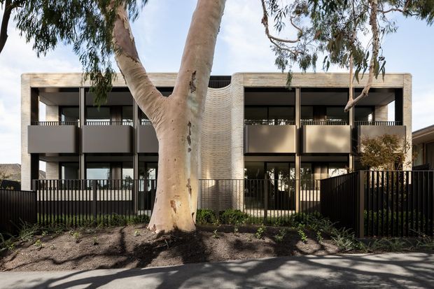 Street-facing view of a contemporary multi-unit residential building, partially screened by a mature eucalyptus tree. The two-storey facade uses pale textured masonry or concrete framing, dark metal balcony balustrades and fences, large glazed openings, and recessed balconies. A curved, patterned central feature wall adds a sculptural element, with landscaped planting along the frontage.