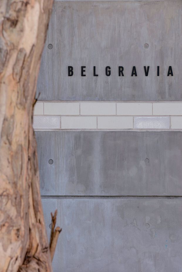 Close-up of an exterior sign reading “BELGRAVIA” in black raised lettering on a grey concrete or cement-panel wall. A tree trunk partially obscures the left side, while a horizontal band of pale rectangular brick or tile interrupts the wall surface. The image is a tightly framed architectural facade detail with a muted, raw material palette.