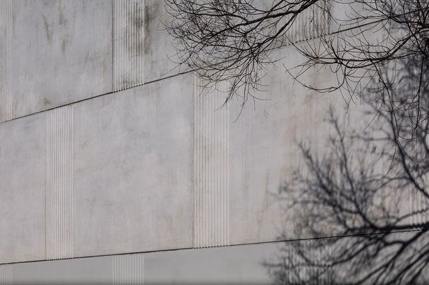 Close-up exterior view of a pale grey precast concrete facade composed of large rectangular panels with visible vertical ribbed texture and panel joints. Bare tree branches and shadows partially overlap the otherwise minimal, weathered surface.