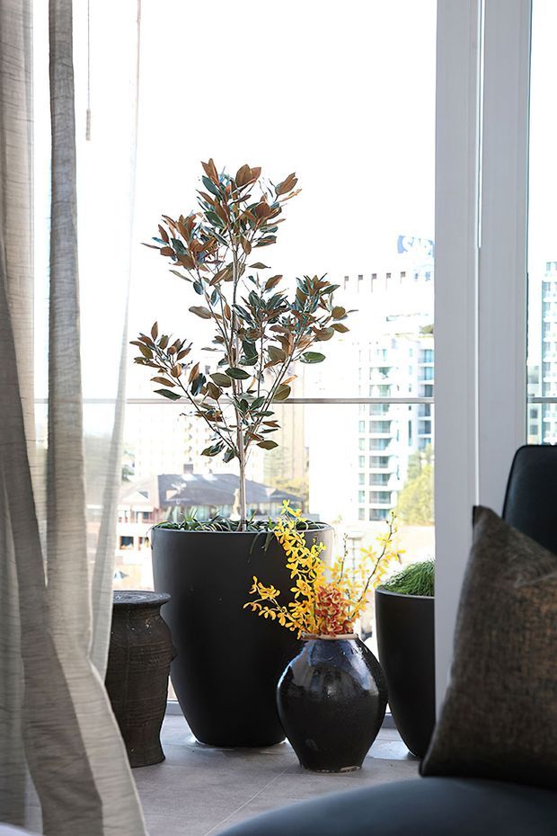Bright interior corner beside floor-to-ceiling glazing, furnished with a dark sofa and textured cushion. Several large dark planters and decorative ceramic vases hold indoor trees and foliage, with sheer curtains framing a city apartment view beyond.
