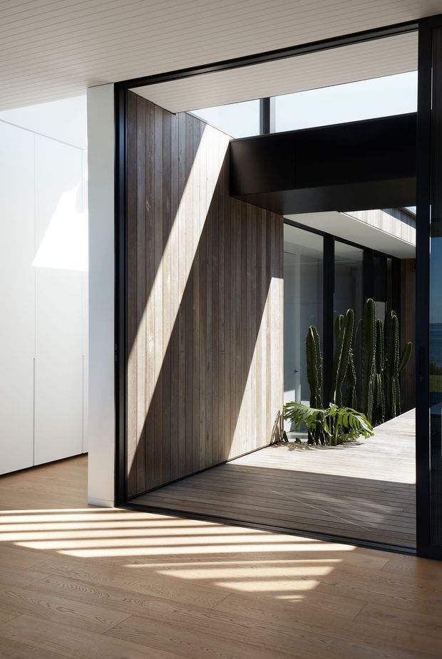 A bright, minimalist architectural interior opening onto a planted courtyard. The view features pale timber flooring, a white slatted ceiling, full-height black-framed glazing, and a courtyard lined with vertical timber cladding and decking. Strong sunlight casts geometric shadows across the floor, while sculptural cacti and greenery add a natural element.