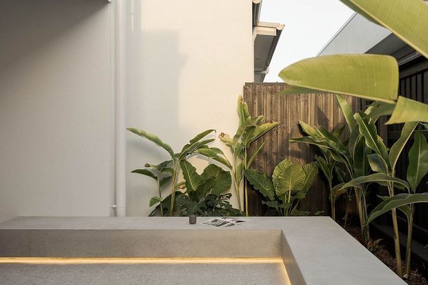 A minimalist outdoor courtyard or terrace corner featuring a raised concrete planter or bench with integrated warm LED strip lighting. Tropical foliage fills the planting bed beside a vertical timber privacy screen, with pale rendered walls and dark fencing creating a calm contemporary setting.