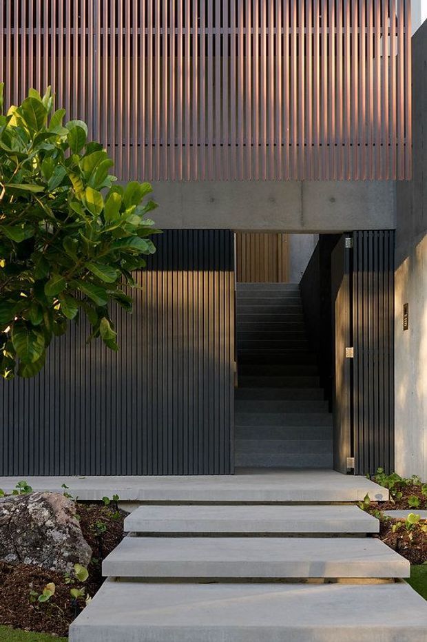 A contemporary residential entrance viewed from the garden path, with broad concrete stepping slabs leading to a recessed stairway. The facade combines dark vertical metal screening, warm timber battens, exposed concrete, and a leafy planting bed, creating a layered and private entry.