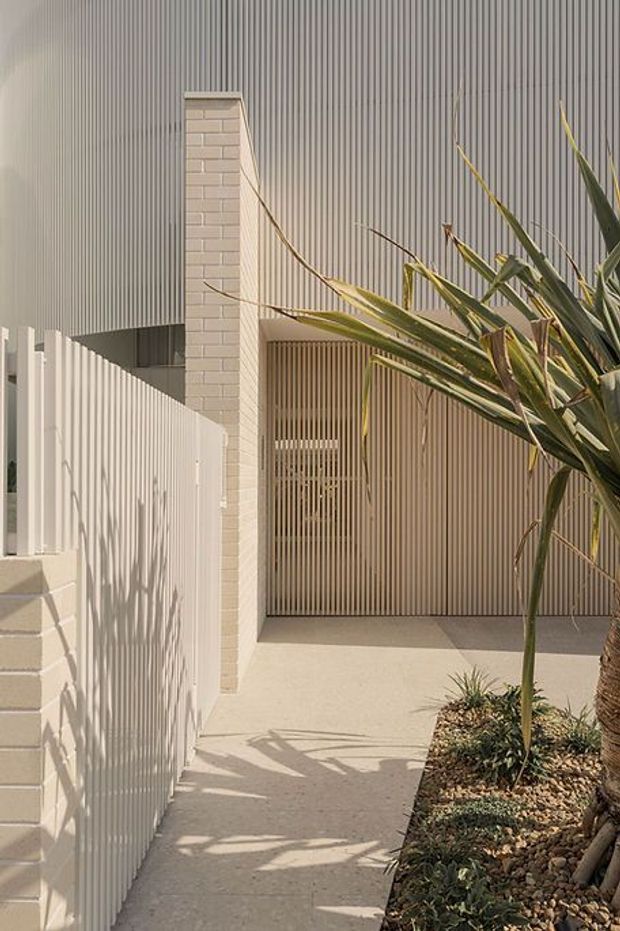 A bright contemporary residential exterior showing a narrow paved walkway beside a white vertical-slat fence and a pale brick pillar. The facade is clad in fine vertical ribbed metal or composite panels, with a timber-toned vertical slatted garage or entry screen. A sculptural tropical plant and gravel garden bed occupy the foreground, casting strong shadows in the sun.