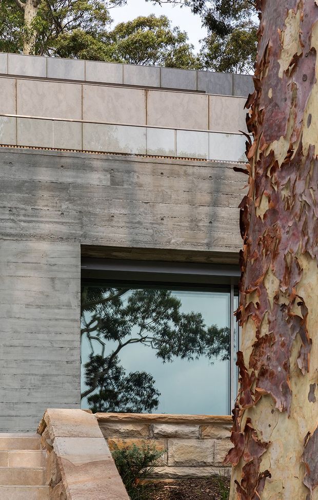 Close-up exterior architectural view of a contemporary building integrated with mature eucalyptus trees. The facade combines board-formed concrete, pale rectangular panel cladding, and a large reflective window, with a low stone retaining wall and steps in the foreground. The composition emphasises raw materials, horizontal lines, and the relationship between the building and its landscaped setting.