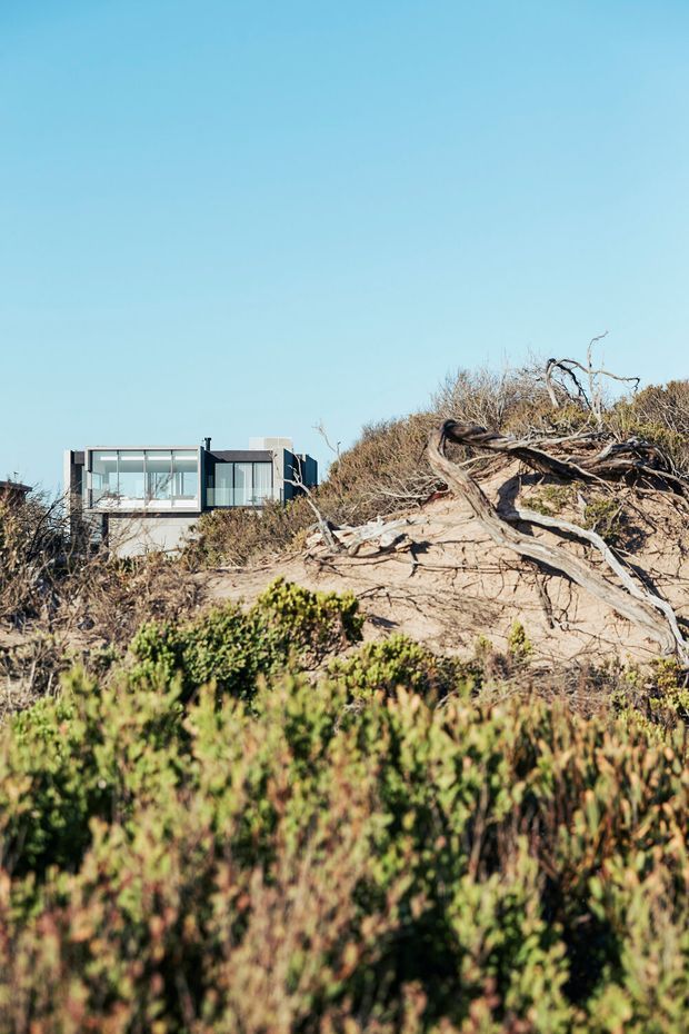 A modern, low-profile house set into a sandy coastal landscape, viewed from a distance through native scrub and windswept vegetation. The building has dark cladding, extensive floor-to-ceiling glazing, and a simple rectilinear form. A large weathered fallen tree and dune-like terrain dominate the foreground beneath a clear blue sky.