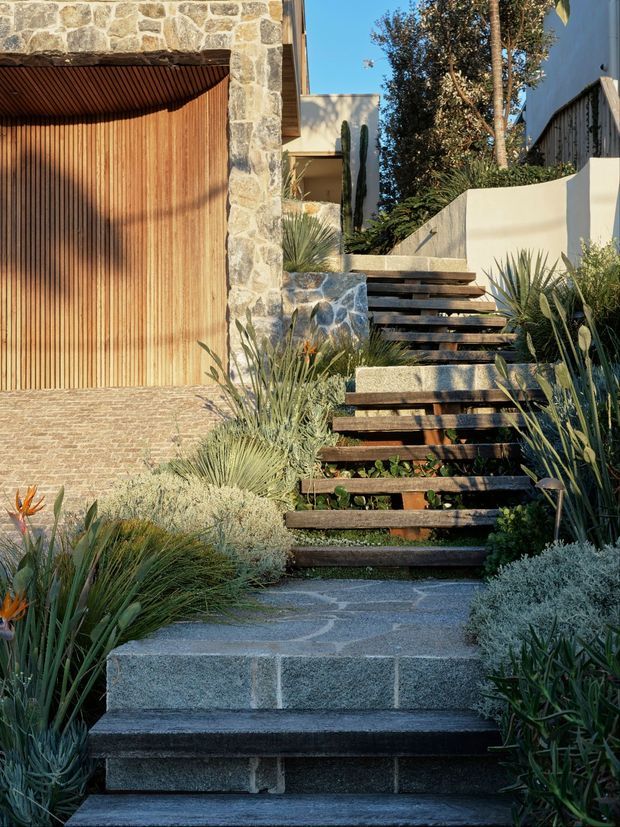 A landscaped residential entryway with broad stone steps leading up through a planted garden to a modern home. The facade combines rough natural stone masonry, warm vertical timber cladding, a curved timber-lined garage or entry canopy, and pale rendered walls. Timber stair treads are set into a stone-paved staircase, surrounded by drought-tolerant grasses, succulents, and sculptural planting.