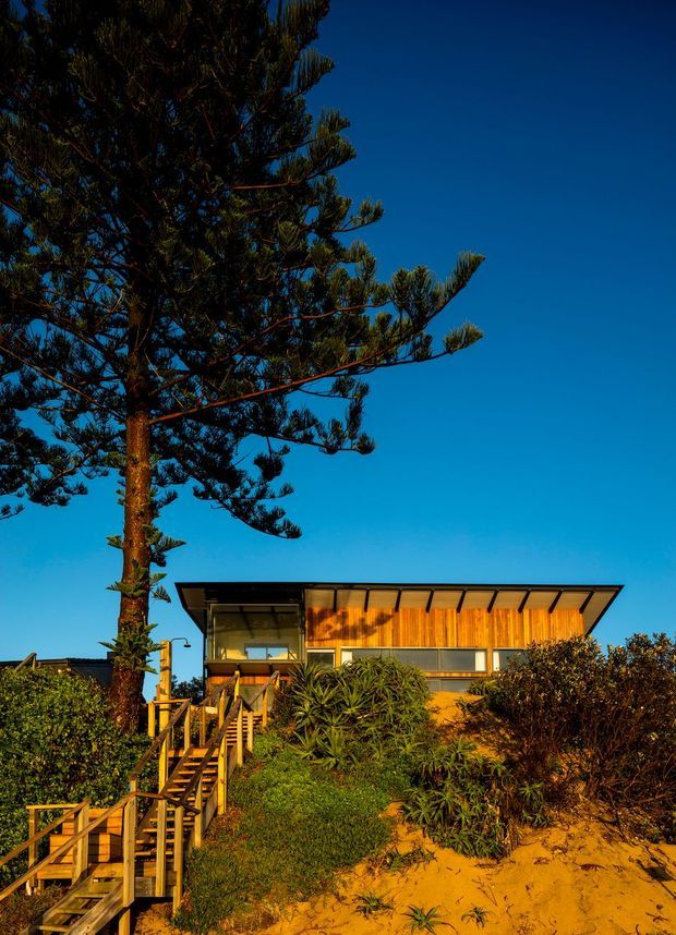 Exterior view of a modern coastal house set into a vegetated sand dune, approached by a timber staircase and deck. The home has a strongly horizontal, low-profile form with a shallow projecting roof, extensive glazing, and warm timber wall cladding. A tall coastal evergreen dominates the foreground under a clear blue sky.