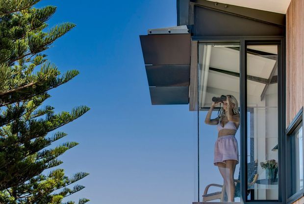 Exterior view of a contemporary multi-level building with dark cladding, projecting metal sunshade or awning, and large floor-to-ceiling glazed doors. A person stands inside near the open glazing, while a tall evergreen tree and clear blue sky frame the facade.