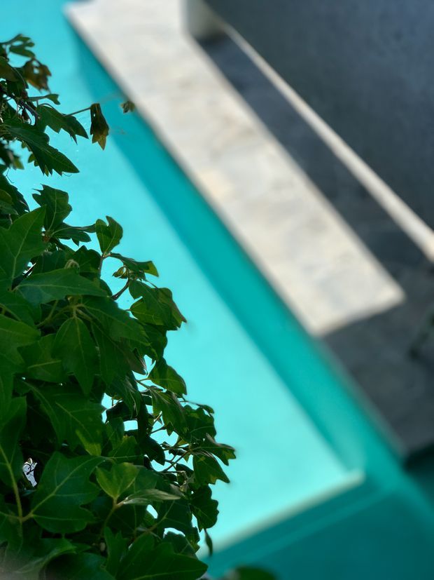 A close, slightly angled view of a bright turquoise swimming pool with a pale stone or concrete coping edge beside a dark grey wall or paved surface. Dense leafy green foliage partially frames the left foreground. The image is softly focused and emphasizes the pool water, edge, and surrounding greenery.