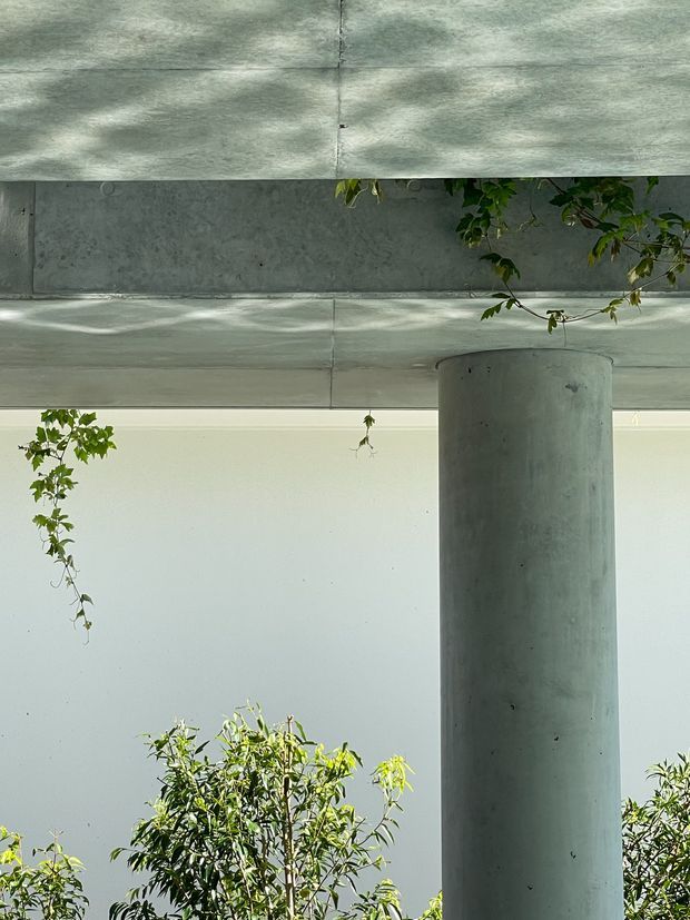 A close-up architectural view of a raw concrete structure, featuring a large cylindrical concrete column supporting a horizontal concrete slab or canopy. Smooth pale walls and leafy climbing vegetation appear around the structure, with dappled natural light creating soft shadows. The composition emphasises exposed concrete and simple geometric forms.
