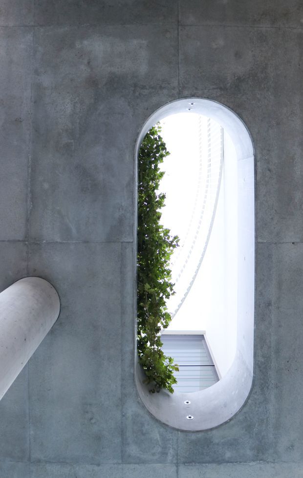 A close-up architectural view of a tall, vertically oriented arched opening set into a raw grey concrete wall. The smooth rounded concrete reveal frames bright sky, leafy greenery, and a glimpse of a curved white facade with horizontal glazing beyond. The composition highlights sculptural concrete detailing, deep recesses, and organic curved geometry.