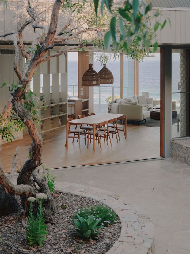 A coastal indoor-outdoor living and dining area viewed from a landscaped courtyard. Full-height glazing and sliding doors open toward a sea view, with a timber dining table and chairs, a light upholstered sofa, built-in shelving, woven pendant lights, timber flooring, and exposed stonework. A sculptural mature tree and low planting frame the foreground courtyard.