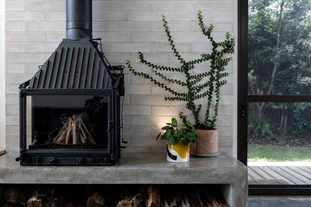 Interior close-up of a built-in fireplace with a black cast-metal firebox and flue set against a pale textured masonry wall. The fireplace sits on a thick grey concrete or stone mantel, with stored firewood below. Potted plants and a full-height dark-framed glazed door or window add natural greenery and daylight to the otherwise restrained, contemporary space.