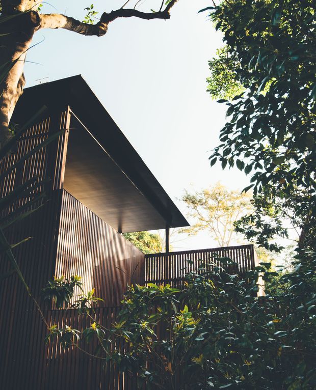 Upward-looking exterior view of a modern, dark-clad building nestled among mature trees and dense greenery. The structure features a sharply projecting flat roof, extensive vertical timber slat screening, a sheltered upper-level terrace or balcony, and slender structural supports. Warm sunlight filters through the foliage, creating a secluded, nature-integrated atmosphere.