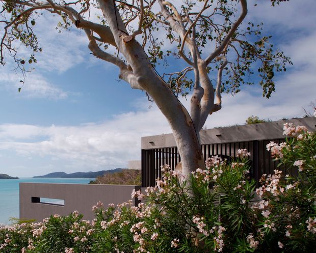 Exterior architectural view of a low, modern coastal building partially screened by a large mature tree and flowering shrubs. The muted grey-brown facade includes a narrow horizontal window and a dark vertical slatted screen, with turquoise water and distant land visible beyond the property.