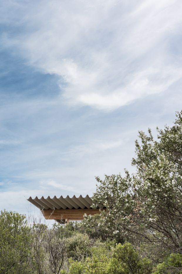 A partially concealed architectural structure rises above dense native vegetation. The visible building has a projecting timber-toned form and a distinctive repeating folded or sawtooth roof profile, set against a broad blue and cloudy sky. The image is composed primarily as a landscape-oriented exterior architectural view, with the building partly obscured by trees and shrubs.