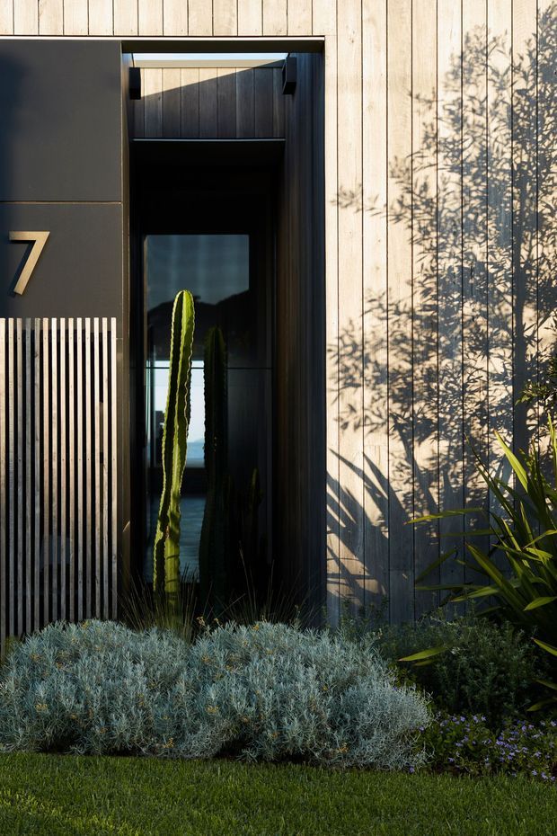 A close view of a contemporary residential entrance set within a vertical timber-clad facade. The dark recessed doorway has a narrow glazed panel and a prominent house number 7, while a slatted timber screen adds texture beside the entry. Layered drought-tolerant planting, including a tall cactus and silvery shrubs, frames the threshold, with strong afternoon shadows cast across the pale timber boards.