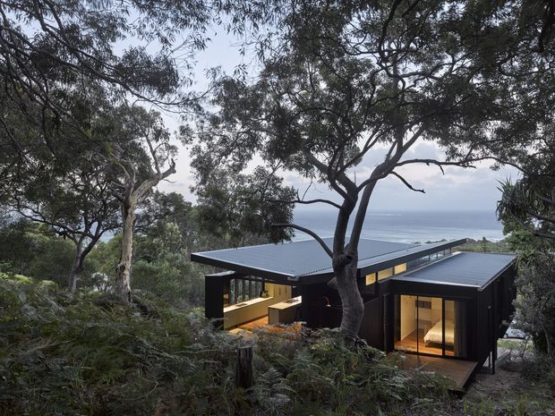 A contemporary dark-clad house nestled among coastal bushland, viewed from above through eucalyptus trees and ferns. The low, flat-roofed form features extensive glazing with warm interior lighting, and the ocean is visible beyond the site.