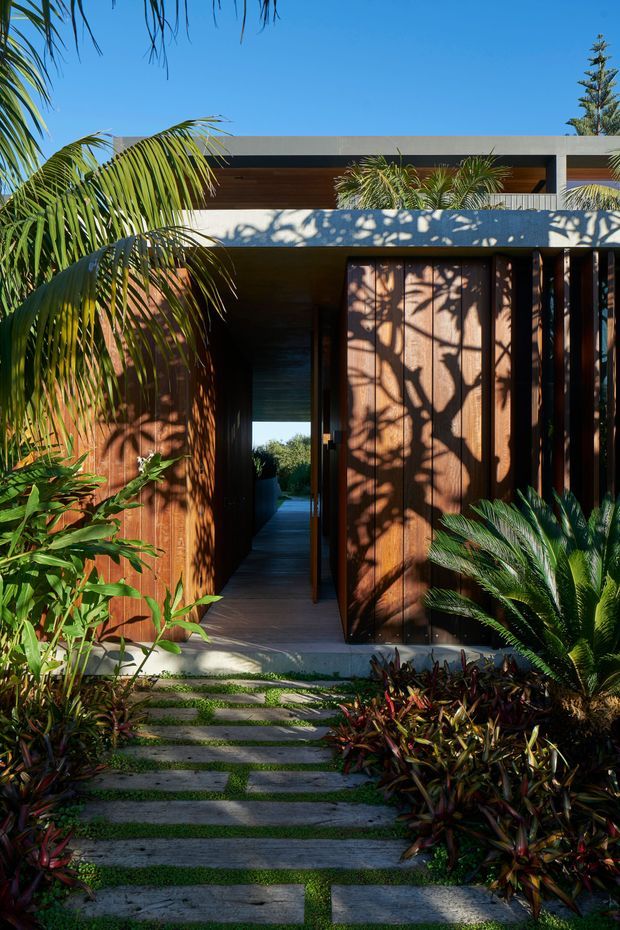 A tropical modern home entrance viewed from the landscaped front path. The facade combines warm vertical timber cladding and slatted timber screening with crisp concrete horizontal bands, deep recessed openings, and a partially visible upper-level terrace. Dense palms and tropical planting frame the doorway, while irregular concrete stepping slabs lead through low groundcover toward the dark recessed entry. Strong sunlight creates dramatic foliage shadows across the facade.