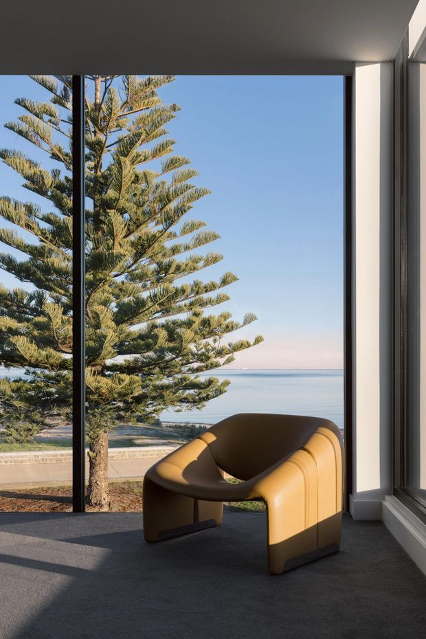 A sculptural caramel-brown lounge chair sits in a minimalist interior beside expansive floor-to-ceiling glazing. The dark-framed window looks directly onto a coastal beach and calm ocean, with a large Norfolk Island pine in the foreground. The room has a dark carpeted floor, white walls, a dark ceiling, and strong warm sunlight.