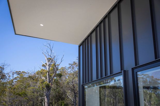 Close-up exterior architectural view showing a contemporary dark-framed glazed facade beneath a broad projecting flat roof or canopy. Vertical facade fins or mullions create strong rhythm, with reflections of surrounding trees visible in the windows and bushland beyond.