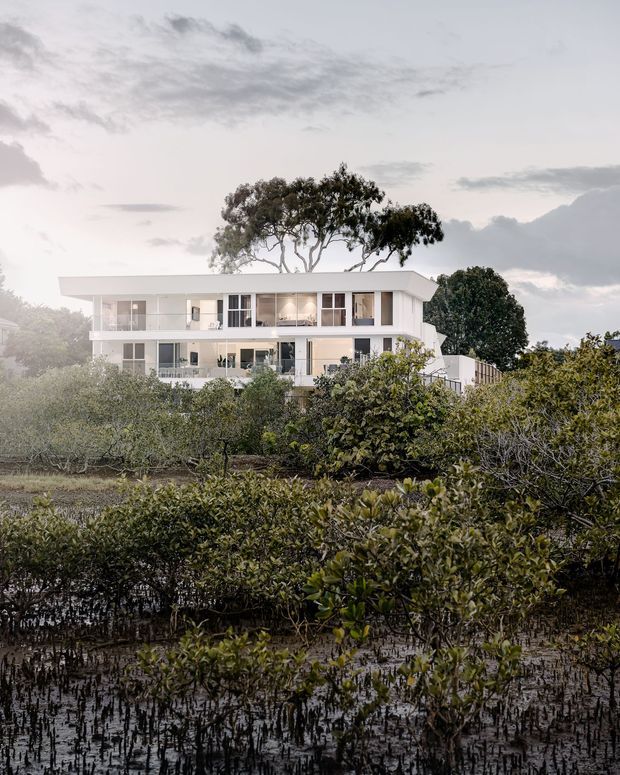 A contemporary two-storey white residence viewed across dense mangrove vegetation and wetland terrain. The building has a clean rectilinear form, broad glazing, balconies, and a shallow projecting roof, with mature trees behind it and a softly overcast sky.