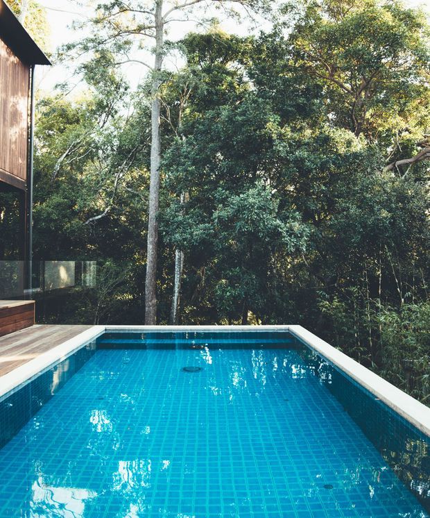 A compact rectangular swimming pool with vivid blue mosaic tiling occupies the foreground, bordered by pale coping and a timber deck. Dense mature bush surrounds the pool, while part of a dark timber-clad building with large glazing is visible at the left edge. The scene is a bright, private, nature-integrated outdoor setting.