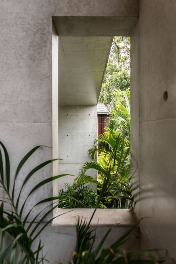 A narrow architectural opening frames a lush tropical courtyard and a concrete-covered passage beyond. The view is dominated by raw grey concrete walls, ceiling, and sill, with visible formwork marks and recessed joints. Dense palm and other green planting softens the stark material palette, while a partially visible timber-slatted structure and corrugated roof appear in the background. The composition is quiet, textural, and strongly focused on indoor-outdoor connection.