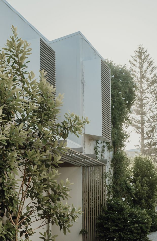 Exterior view of a contemporary multi-storey residence, partially screened by mature landscaping. The pale rendered facade has strong geometric volumes, projecting upper-level forms, dark horizontal louvres, and a timber-toned vertical slatted screen at the entry or lower level. Climbing greenery softens the minimalist architecture, with filtered sunlight creating a calm, natural atmosphere.