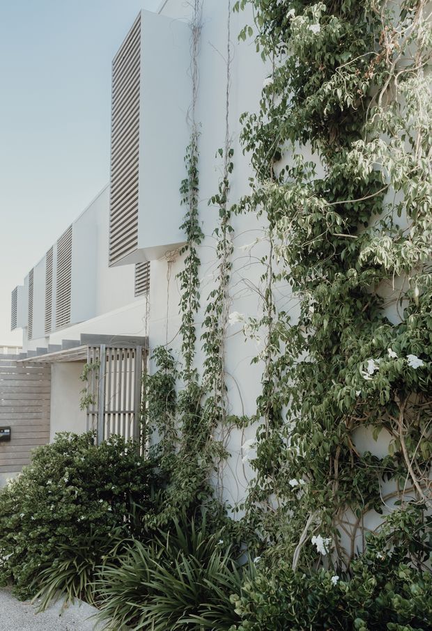 Exterior view of a contemporary white multi-level residential building, partially screened by dense climbing vines and landscaped planting. The facade features projecting box-like volumes, horizontal louvred screening, smooth white walls, and a gated entry with vertical metal bars. A timber-toned horizontal slat boundary wall and planted garden edge are visible in the foreground.