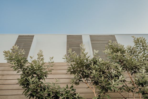 Exterior architectural detail viewed from below, showing a pale rendered upper facade with three horizontal louvred ventilation openings, a horizontal timber-clad lower wall, and leafy planting in the foreground against a clear blue sky.