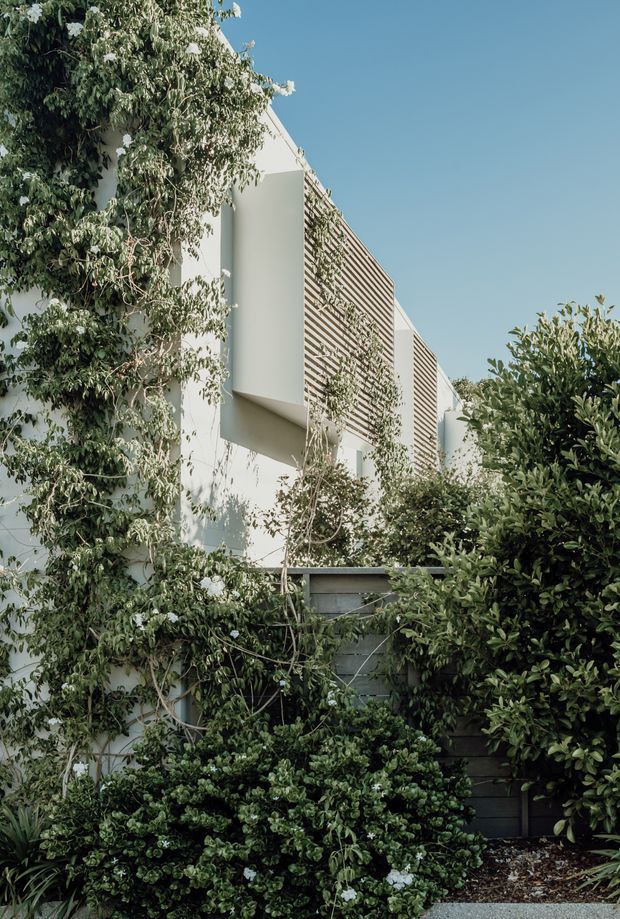 A contemporary white multi-level building facade is partially concealed by dense garden planting and climbing vines. The visible architecture features clean geometric forms, projecting volumes, and a prominent horizontal timber-look slatted screen. A dark boundary fence and landscaped garden sit in the foreground beneath a clear blue sky.