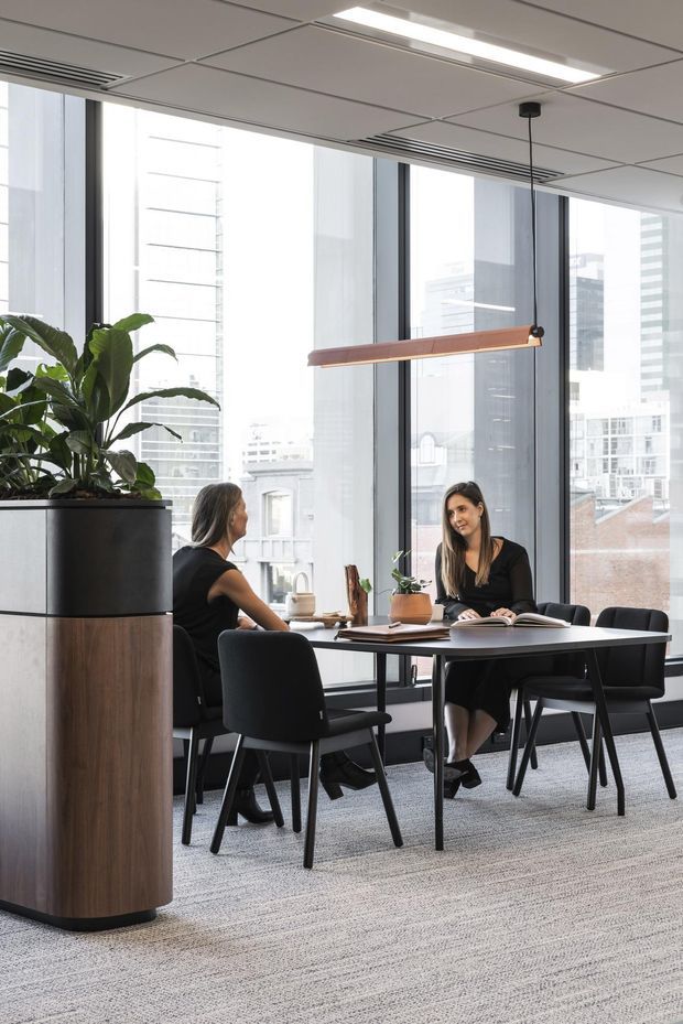 Bright modern commercial office meeting area with two people seated at a rectangular table beside floor-to-ceiling windows overlooking a dense urban skyline. The space features grey carpet, black-framed glazing, a suspended linear timber pendant light, a large built-in timber planter with lush foliage, and a white modular ceiling with integrated lighting and air-conditioning grilles.