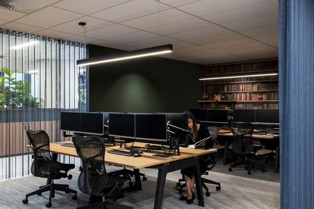 A contemporary open-plan office with shared timber workstations, multiple black monitors, ergonomic mesh office chairs, and linear suspended lighting. The space has a dark green feature wall with integrated bookshelves, carpeted flooring, a suspended acoustic ceiling, and a glazed perimeter screened by vertical curtains and planting.