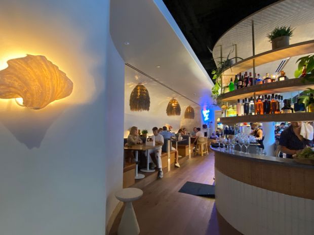 Interior view of a stylish contemporary bar and dining venue, with a curved service counter, open timber shelving displaying bottles and glassware, indoor plants, pendant lights, timber flooring, and a lively dining area beyond. Organic sculptural wall lighting and woven pendant shades add a warm decorative character.