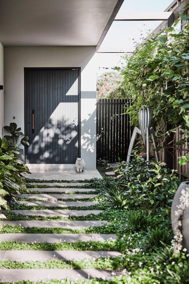 A bright, contemporary residential entry courtyard with a dark vertically panelled front door beneath a broad covered canopy. Stepping stones with planted groundcover lead through lush landscaping, while a black vertical-slat boundary fence, climbing greenery, and a sculptural outdoor feature add texture and privacy.
