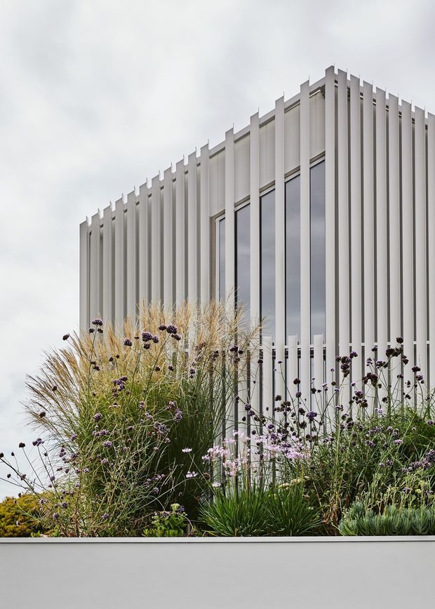 Exterior architectural photograph of a contemporary multi-storey building with a pale grey-white facade articulated by closely spaced vertical fins and tall narrow glazed openings. A dense ornamental planting bed with grasses and purple flowering plants sits in front of the building, behind a simple light-coloured boundary wall. The image has an overcast, muted atmosphere.