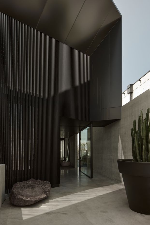 A dramatic modern architectural entrance or courtyard passage with a tall dark ribbed screen facade, angular overhanging roof, smooth concrete walls and polished concrete floor. Full-height glazed doors open into an interior space, while a large sculptural cactus in a dark planter and a natural stone add landscape accents. Strong sunlight casts linear shadows across the floor, creating a minimalist, monolithic atmosphere.