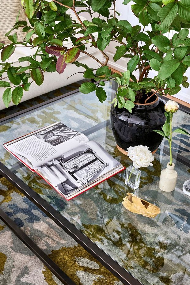 A styled interior vignette centered on a rectangular glass coffee table with a dark metal frame. The table overlays a patterned area rug and holds an open architecture or design book, a large glossy black planter containing a leafy indoor tree, a small white vase with a flower, a clear glass vessel with a white bloom, and a decorative sculptural object. A pale upholstered sofa is partially visible in the background. The scene has a curated, organic and contemporary feel with strong greenery and layered textures.