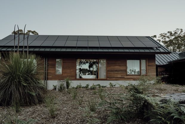 Single-storey house facade photographed from the landscaped front garden. The building has a broad low-pitched dark metal roof with expressed eaves, warm horizontal timber wall cladding, and a row of rectangular windows. Native-style grasses and low planting occupy the foreground, giving the exterior a restrained, natural character.