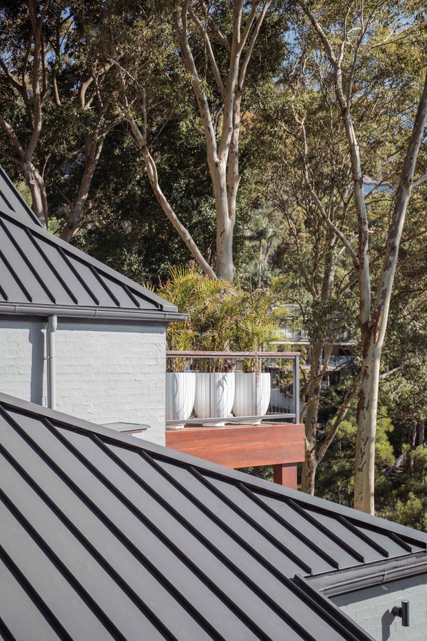 Exterior architectural view showing overlapping steeply pitched standing-seam metal roofs in dark grey, white-painted brick walls, and a raised timber deck or balcony with large white planters. The building is set among mature eucalyptus trees and dense greenery, with a contemporary roof composition visible through the vegetation.