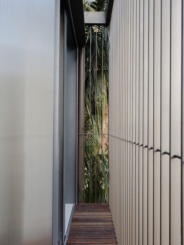 A narrow exterior passage between two modern building walls, featuring vertically ribbed light cladding on the right, translucent corrugated paneling and dark metal framing on the left, and a slim timber-planked walkway leading toward dense tropical planting. The tightly framed composition emphasizes vertical lines, layered facade materials, and a secluded planted gap.